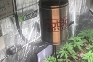 Sublimador de Azufre para cultivo de marihuana
